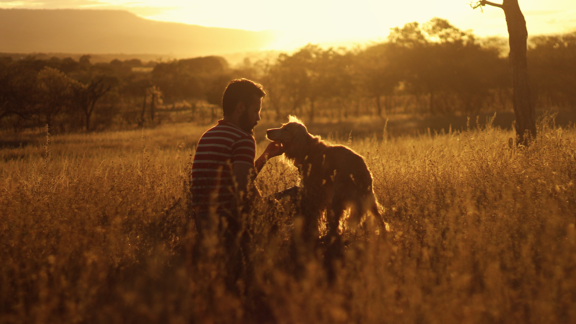 man with esa dog in meadow