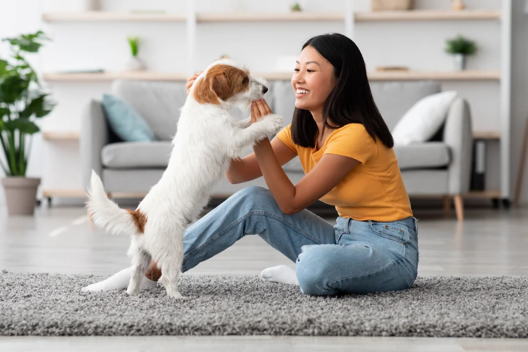 Woman playing with her dog in the living room.