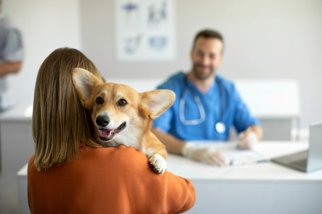 Woman at the doctor with a dog.