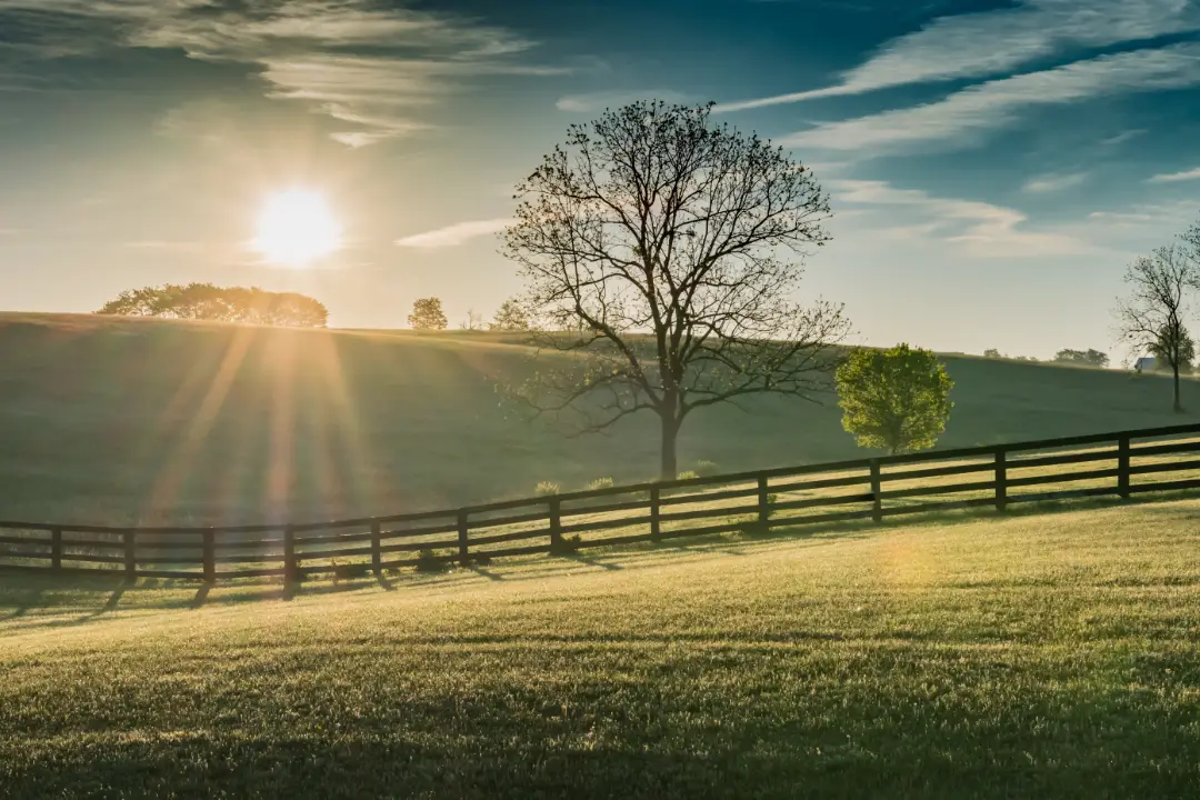 An image of the Kentucky countryside at sunset.