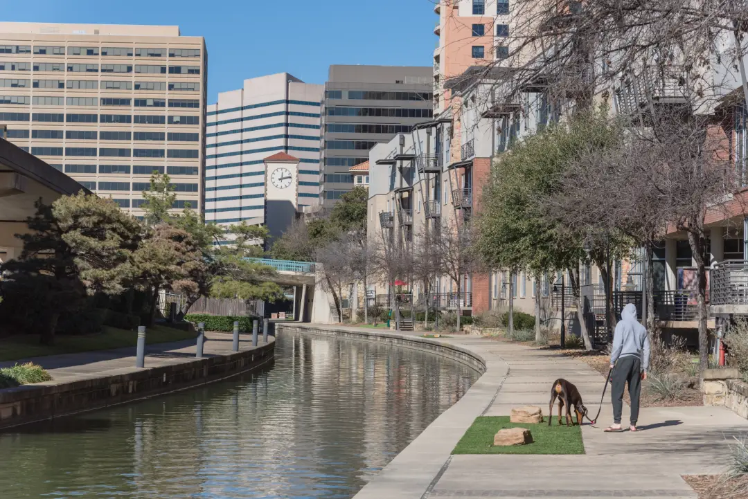 A service dog on a walk along the canals of Irving, Texas.