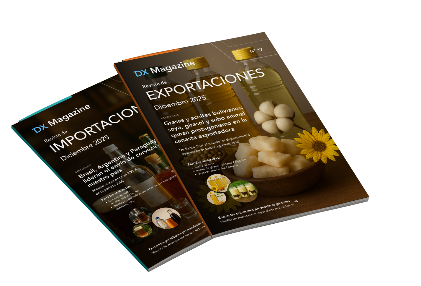 Imagen de una revista DX Magazine abierta, mostrando sus páginas interiores