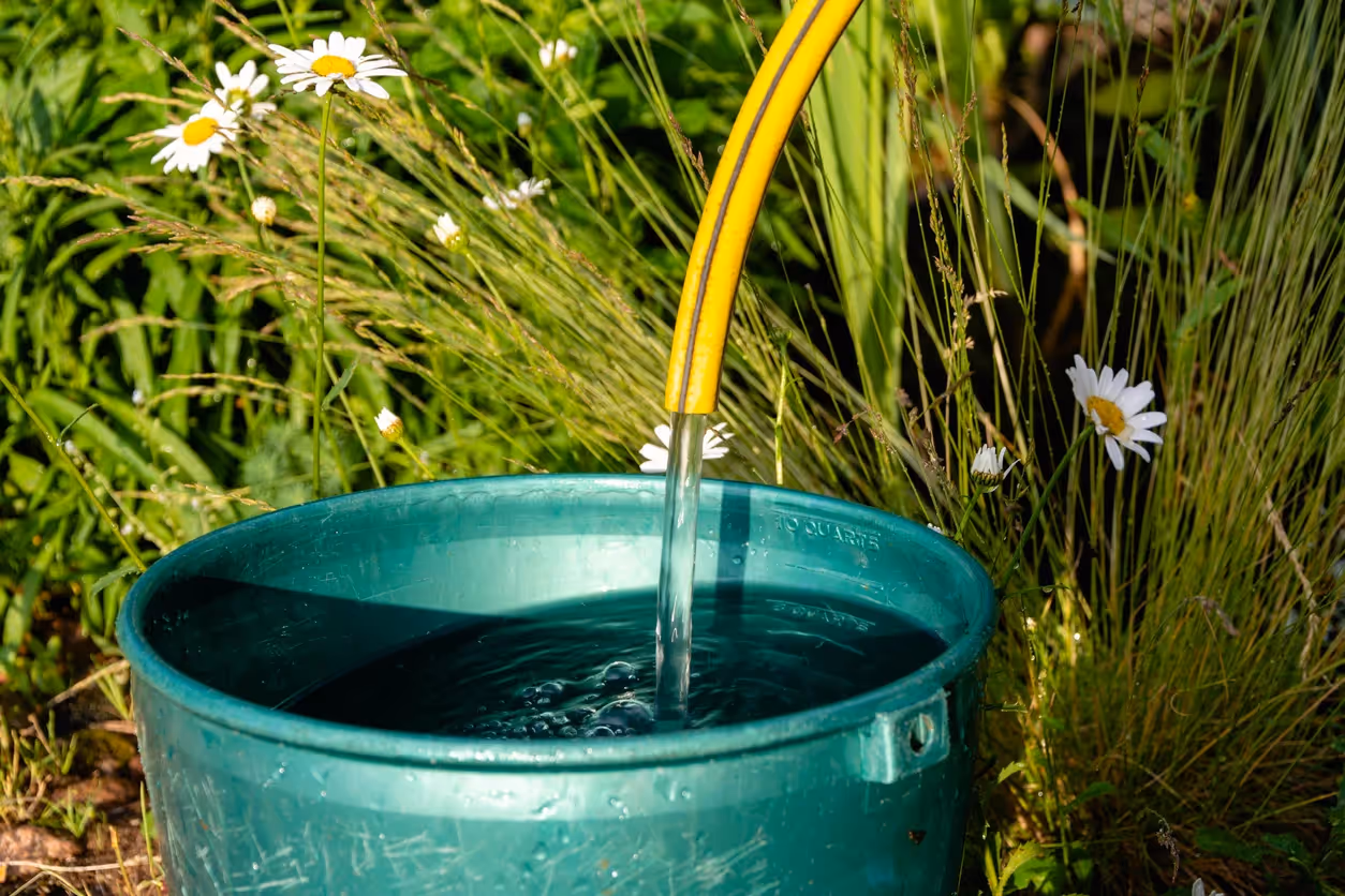 Stock image of a hose filling a bucket
