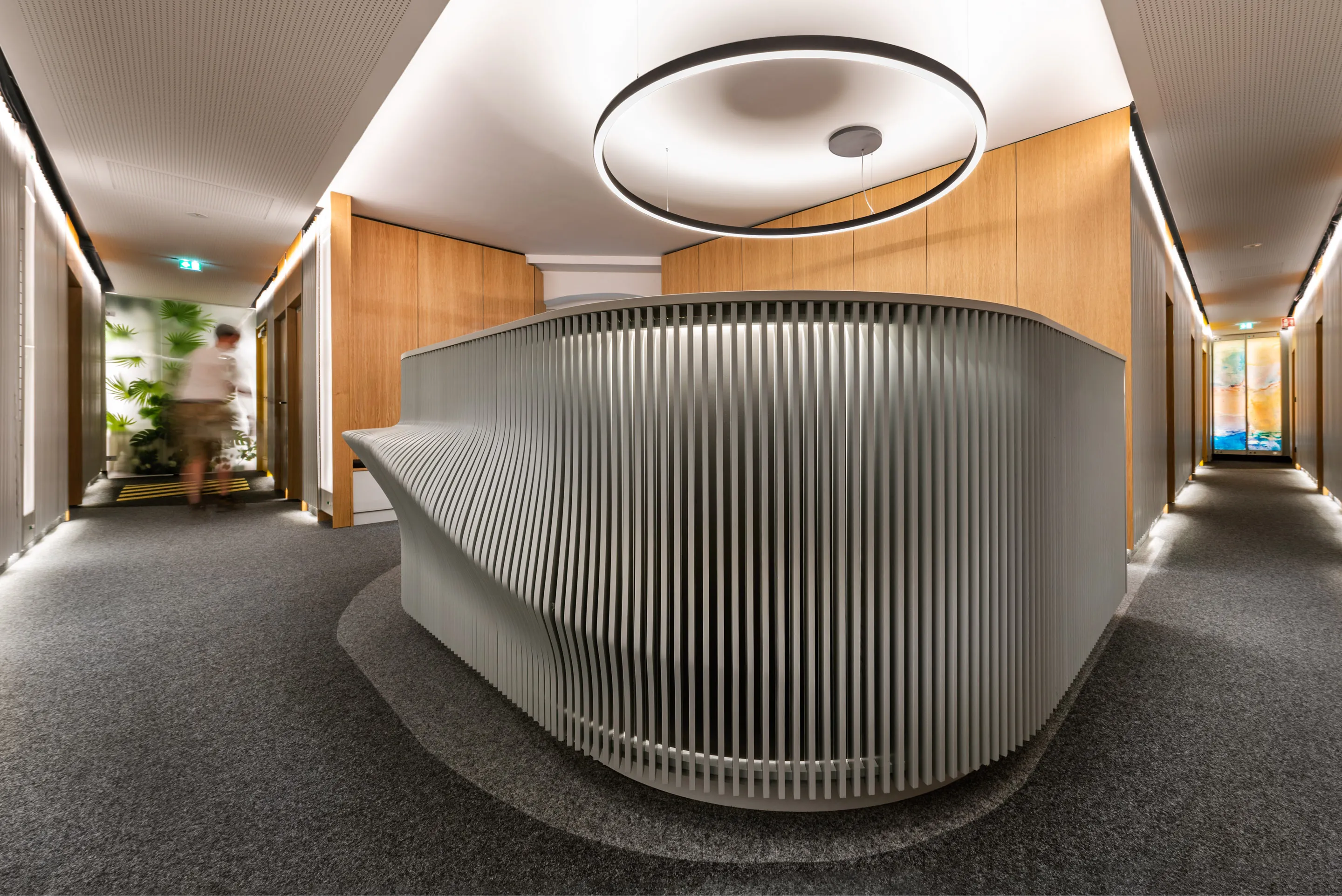Wide shot of reception interior with oak paneled walls, felt carpets and flanked by two corridors with concealed linear lighting