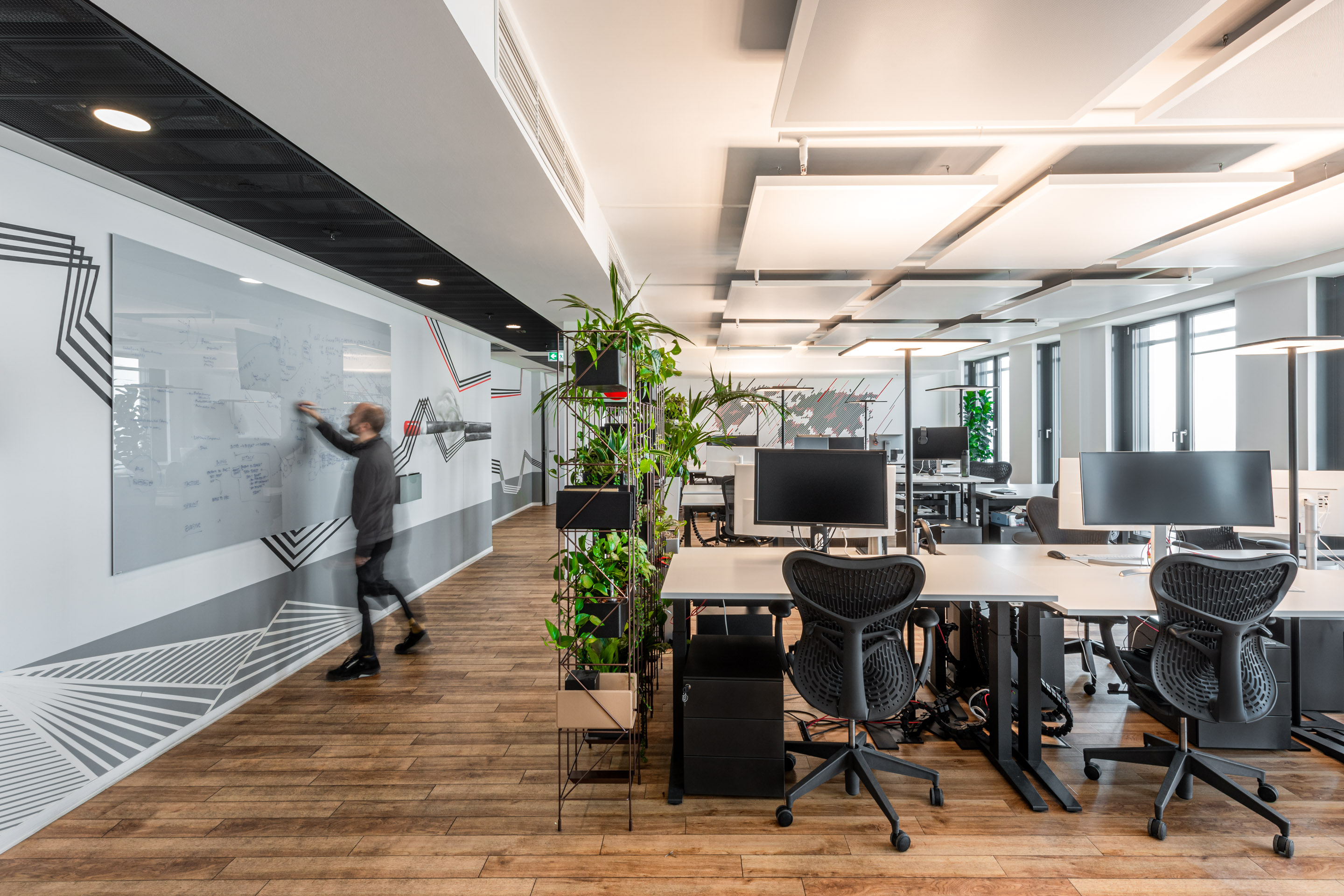 Moderner Büroraum mit Akustikdecken, Whiteboards, Arbeitsplätzen und grüner Wand