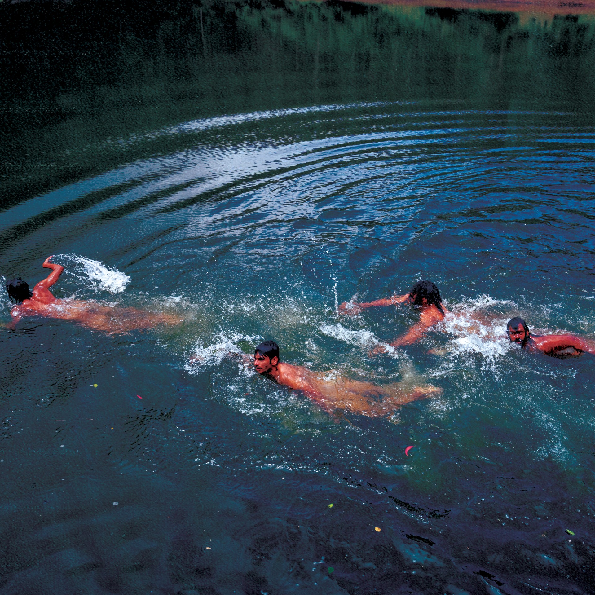 The F16s swimming in the Ooty reservoir