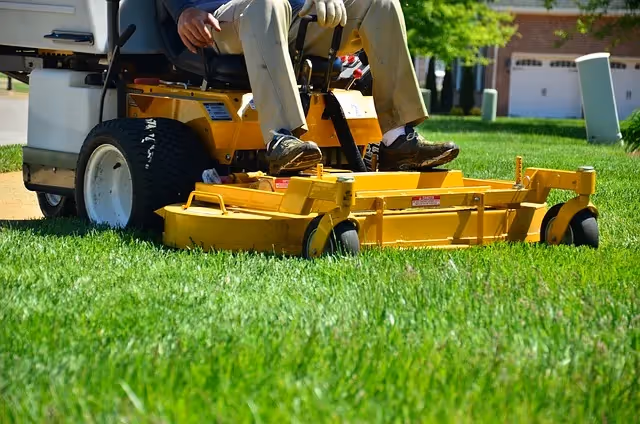 Top Lawn Care Franchises in 2025