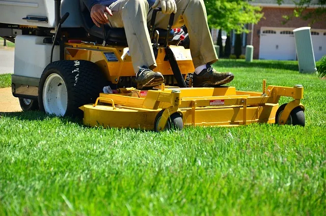 Top Lawn Care Franchises in 2025