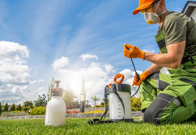 Top 7 Pest Control Franchises in 2025 | From Low-Cost to High Market Demand Franchsies