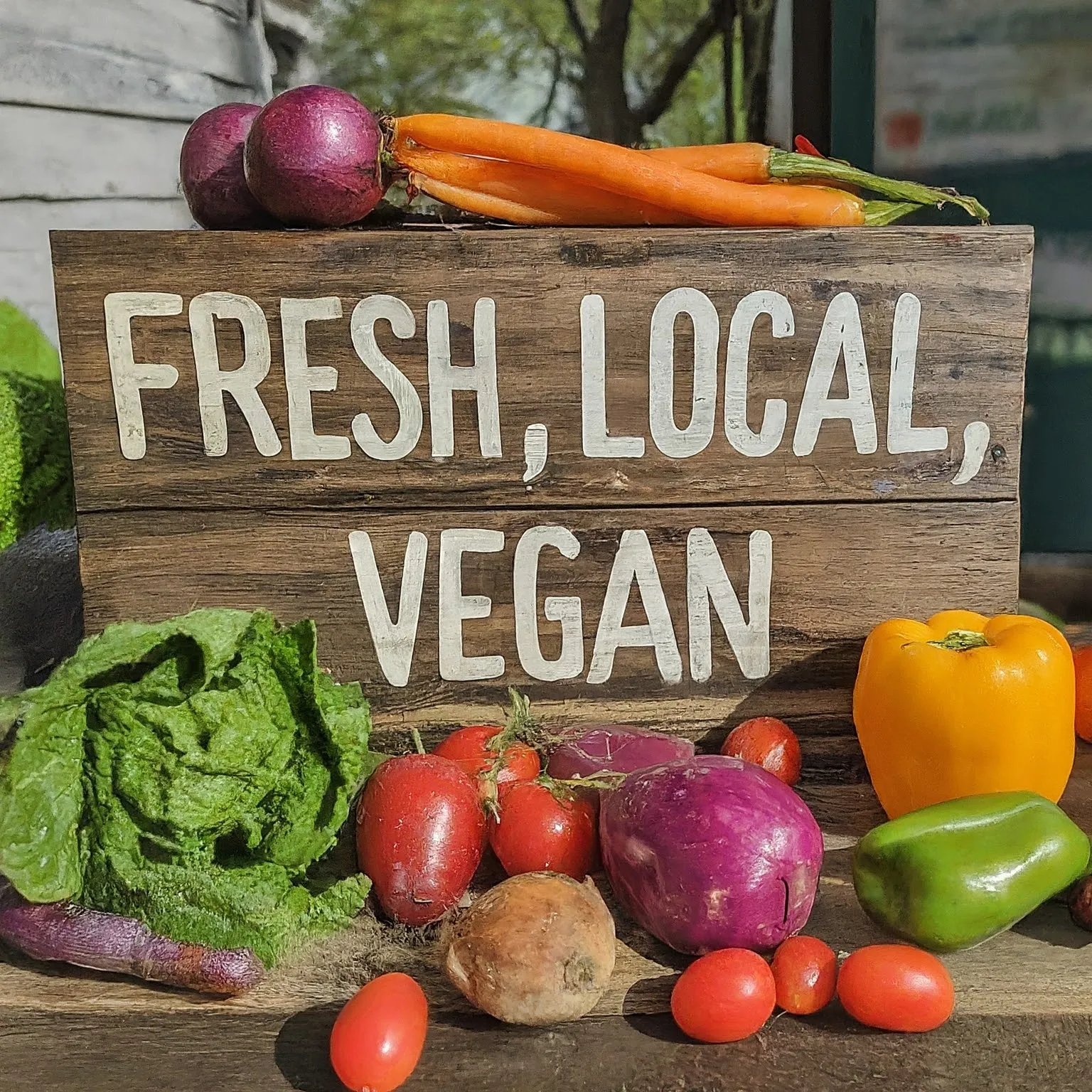Top Vegan Franchises in US in 2025: Exploring Investment Opportunities and Brand Recognition
