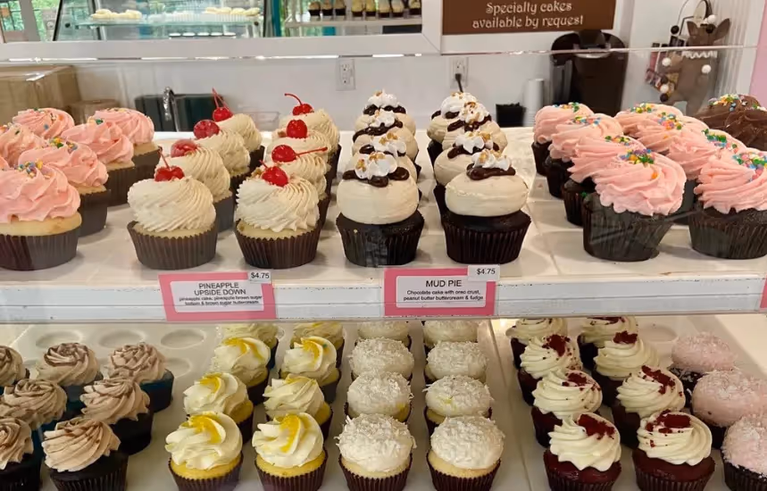 PINKABELLA - Top Gourment Indulgence Cupcake Franchise With the Lowest Cost
