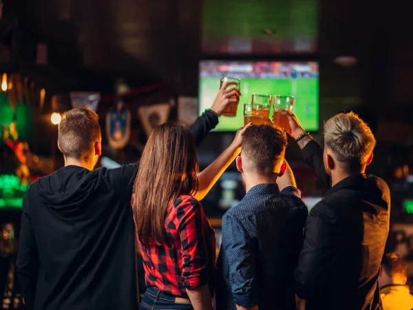 Top Sports Bar & Pub Franchises in 2025 | Expert Picks