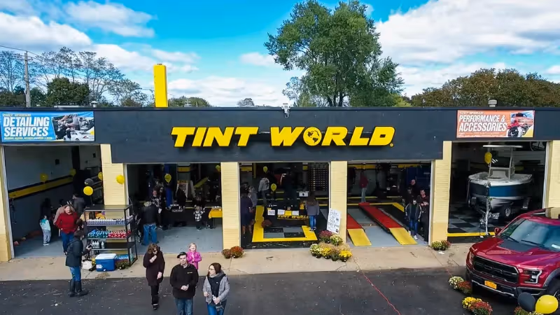 Tint World top car franchise with high market demand