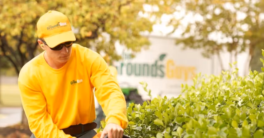 The Grounds Guys top lawn care franchise with strong brand recognition