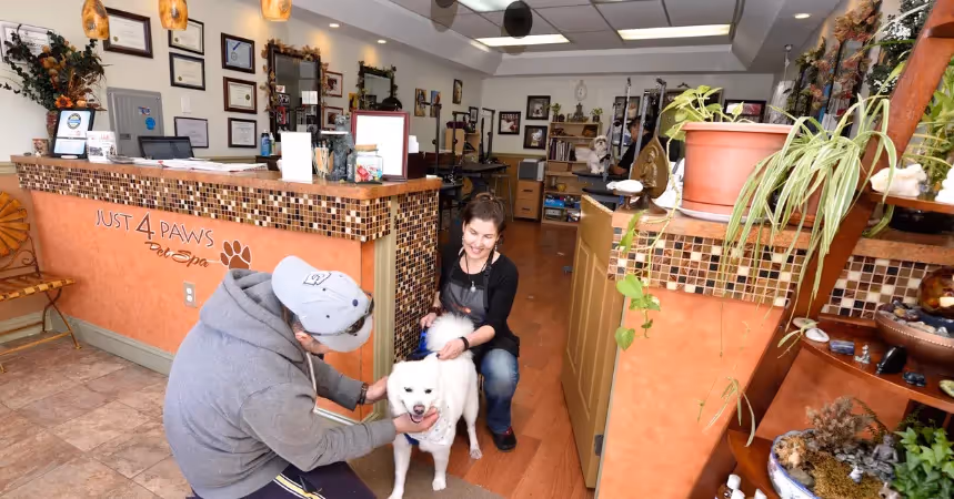 Just 4 Paws Pet Spa top dog grooming franchise with emerging potential