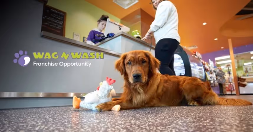 Wag N Wash  Top dog grooming franchise with high market demand