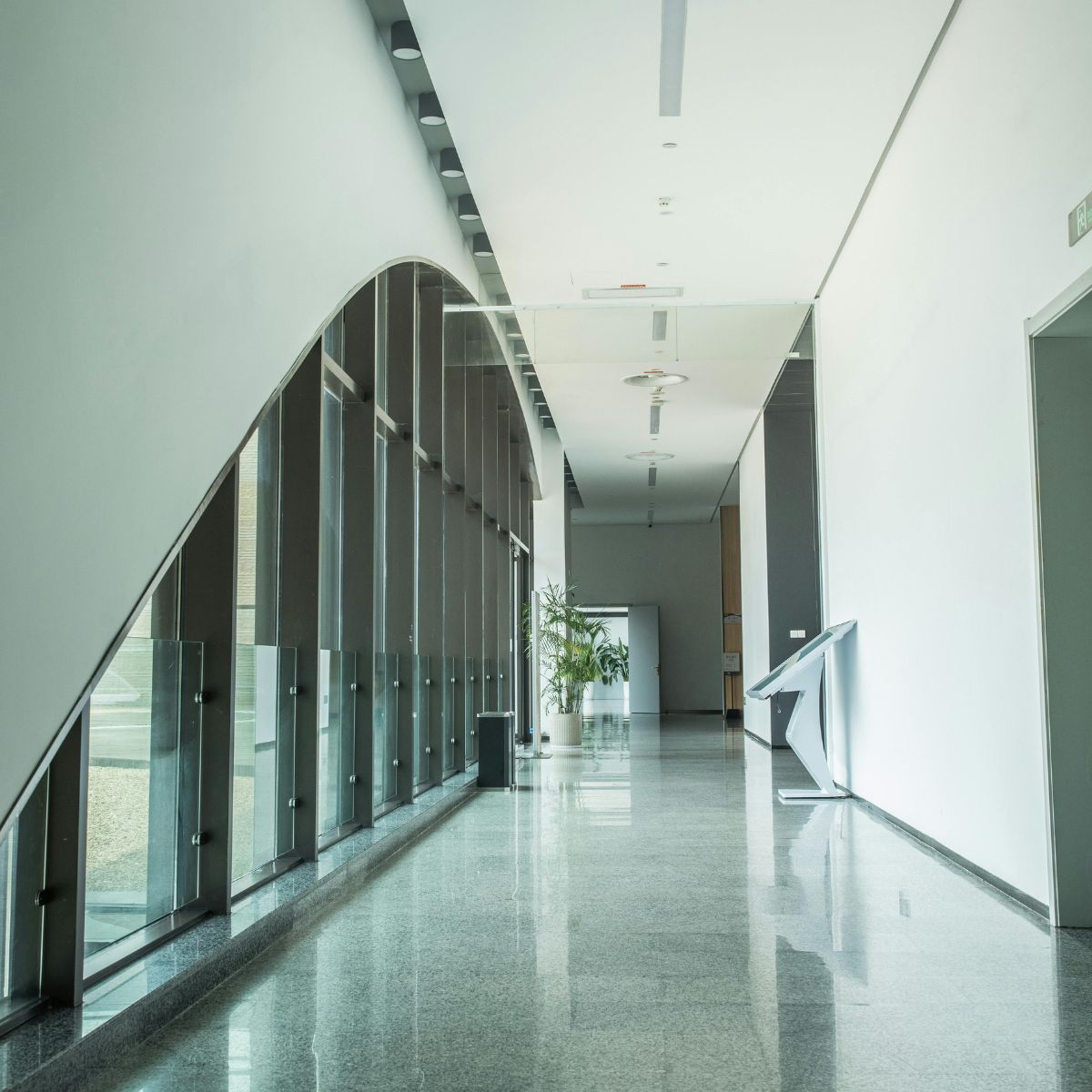 Bright, modern hallway with glossy floor, large windows on one side, and potted plants near the end.