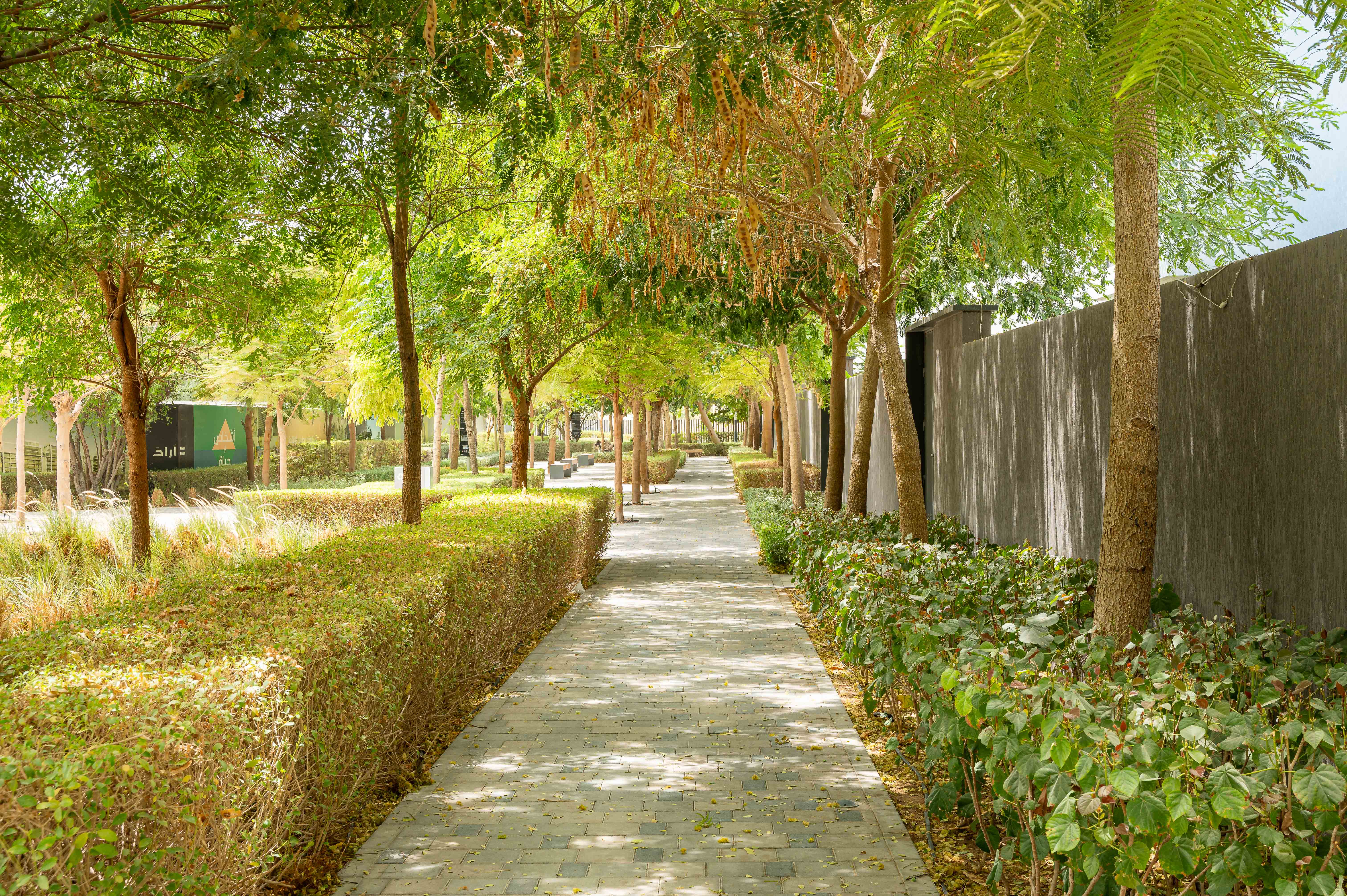 It was important for the Client to deliver a pedestrian realm that is inviting, shaded and colourful. 