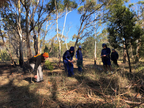 A National Award to SVC!