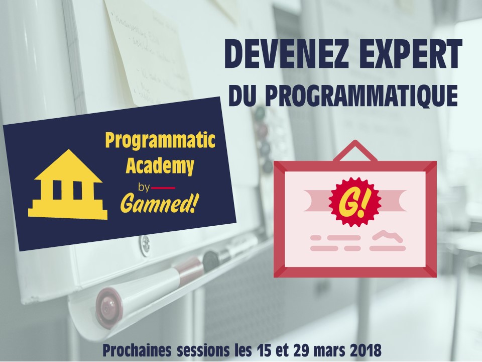 Programmatic Academy By Gamned