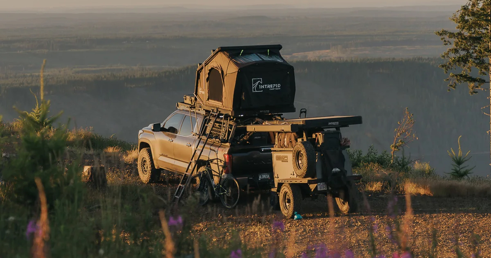 BlendJet SMS Case Study