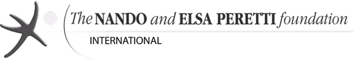 Nando and Elsa Peretti Foundation logo