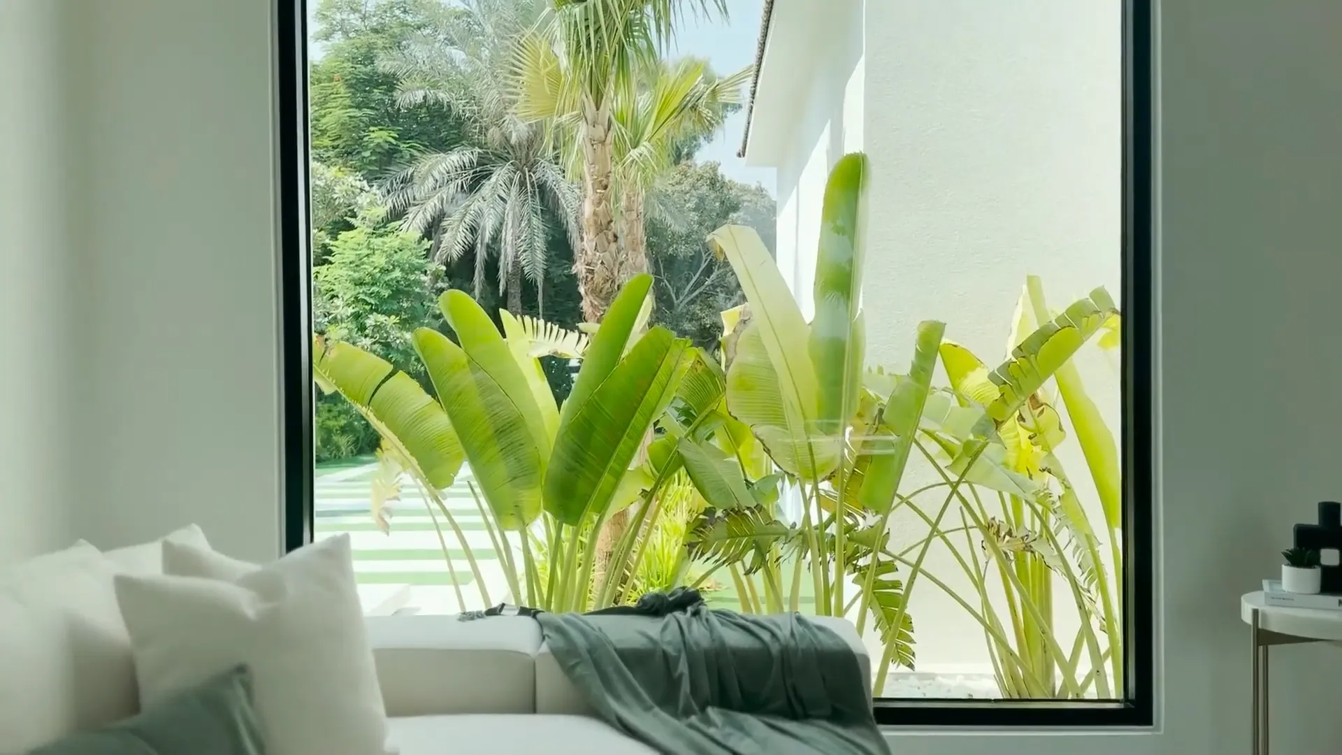 Modern white sofa with pillows and a green throw blanket in front of a large window showing lush green tropical plants outside.