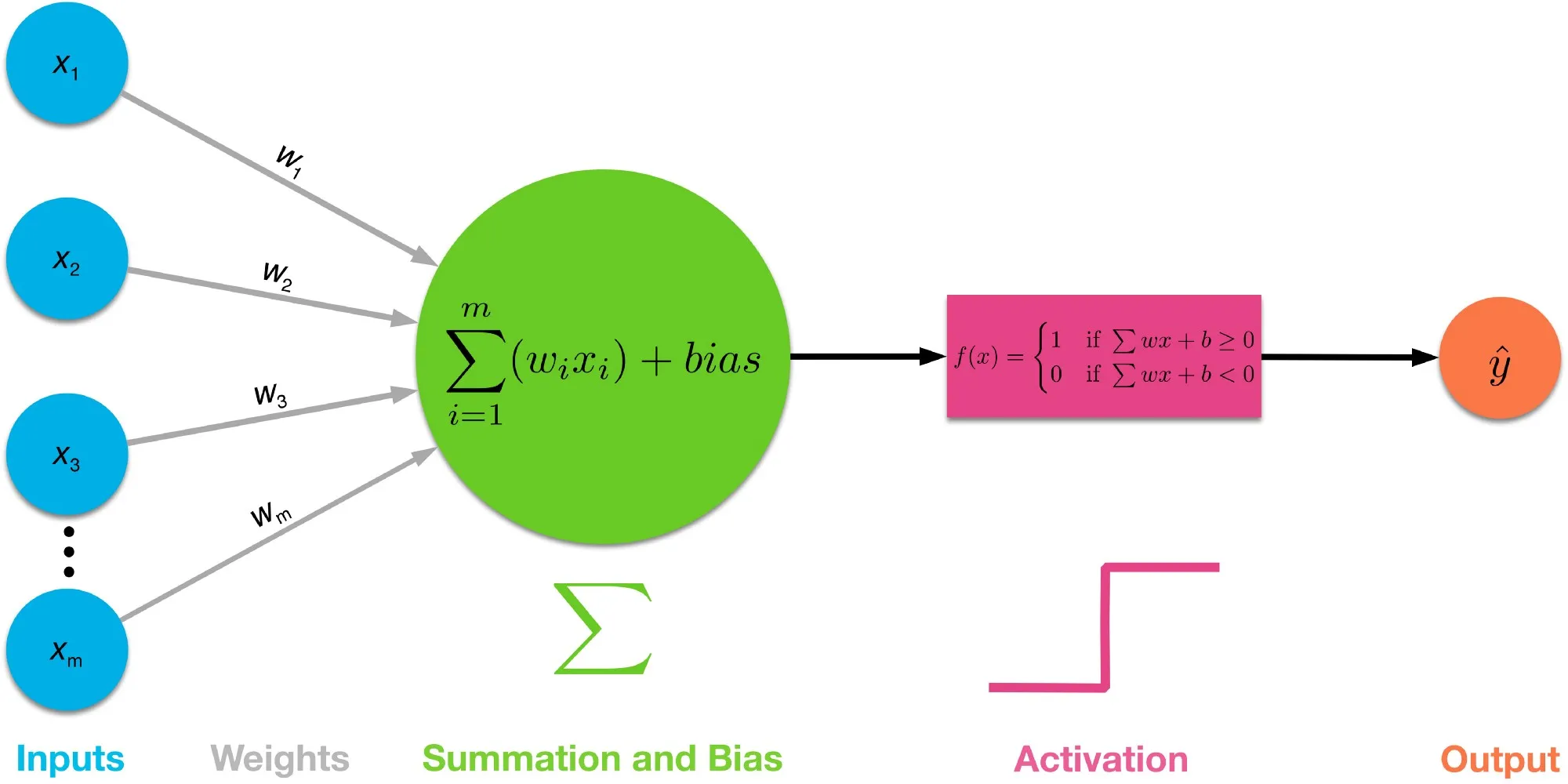 The perceptron, the basic brick of artificial neural networks (https://freesoft.dev/program/150783874)