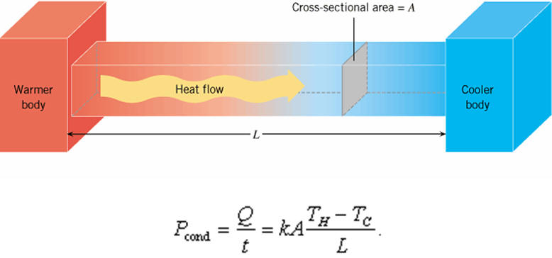 Genesis of Fourier Analysis | Utopie | bilianna1204.top