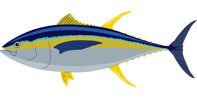 the Lotka-Volterra equation describes the nonlinear dynamics of a system where two species interact such as foxes and rabbits, or shark and tuna