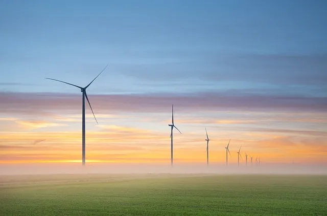 Wind farms – an essential part of the renewable energy transition