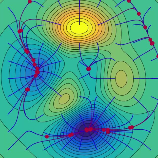 Gradient descent (Wikipedia)