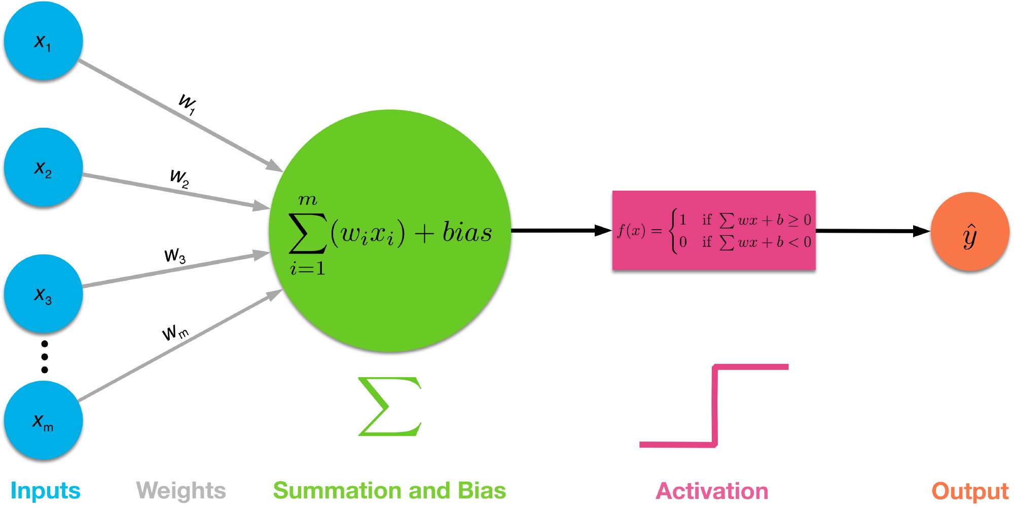 The perceptron, the basic brick of artificial neural networks (https://freesoft.dev/program/150783874)