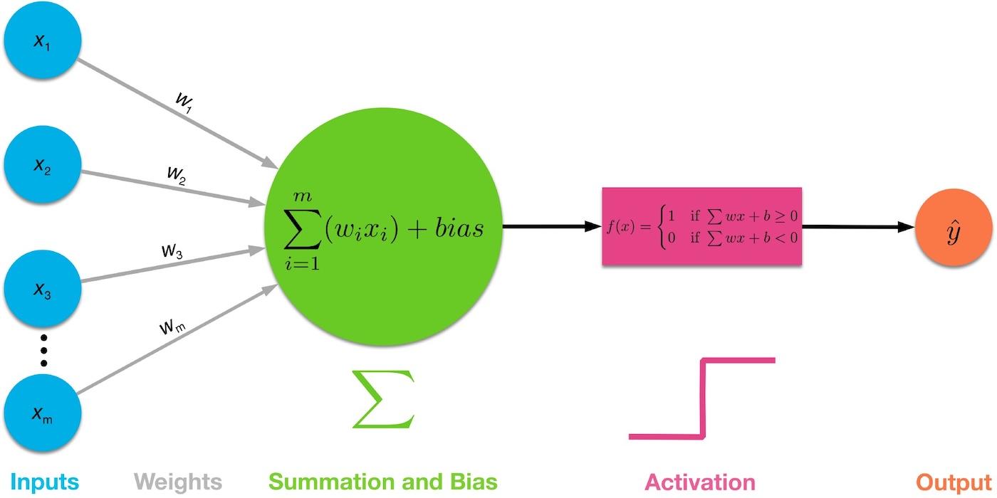 The perceptron, the basic brick of artificial neural networks | freesoft.dev/program/150783874