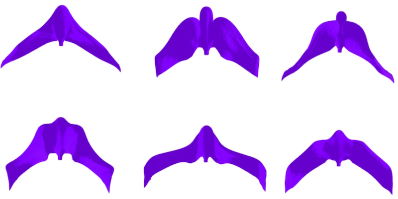 Generative AI: Various UAV designs generated by the optimization algorithm