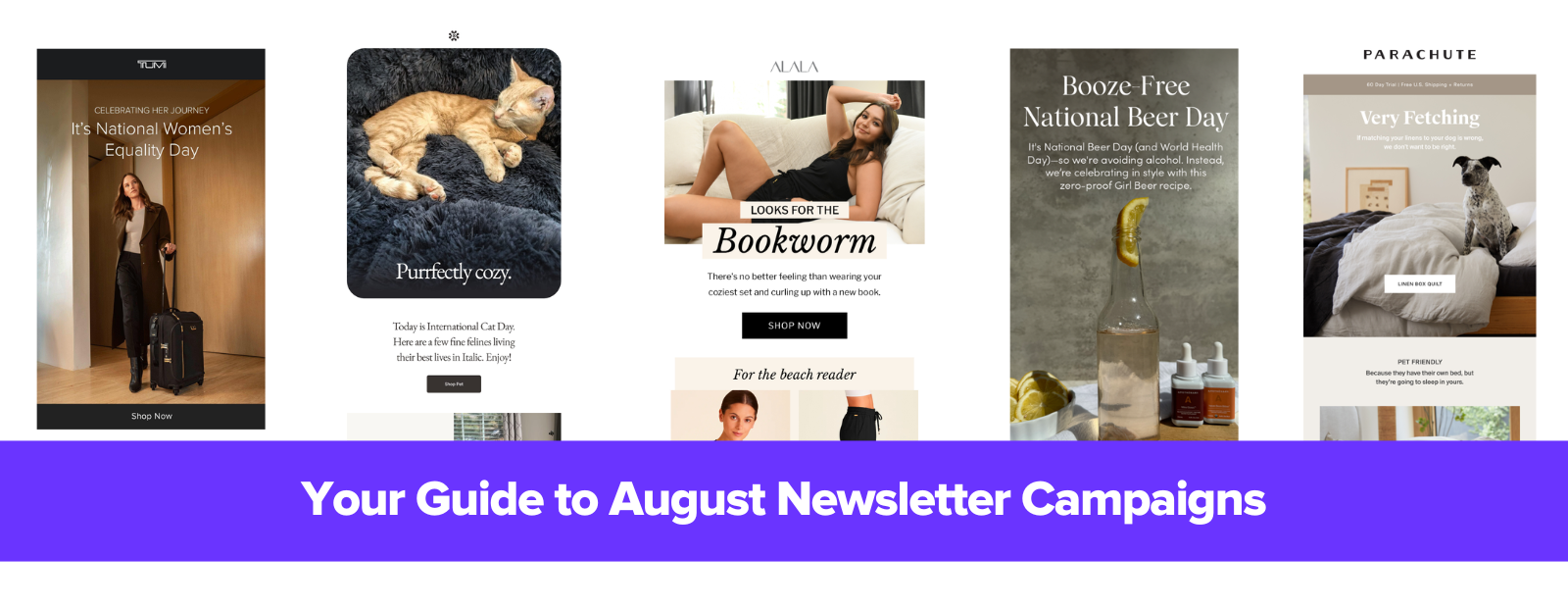Best August Email Newsletter Ideas (with Examples)