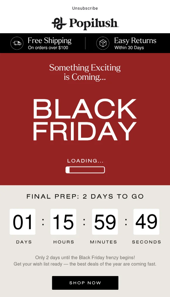 email example black friday