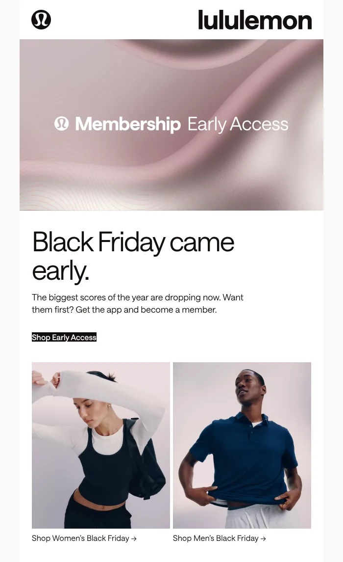 email example black friday