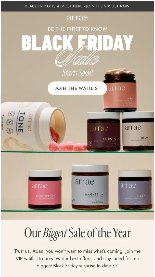 email example black friday