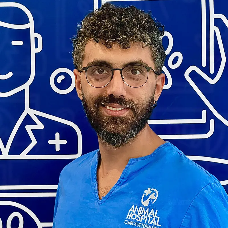 Assistente Tecnico Veterinario a Palermo presso la Clinica Veterinaria Animal Hospital: Simone Ciprì
