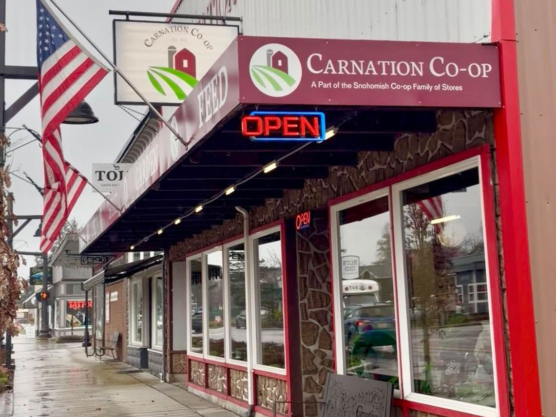 Carnation