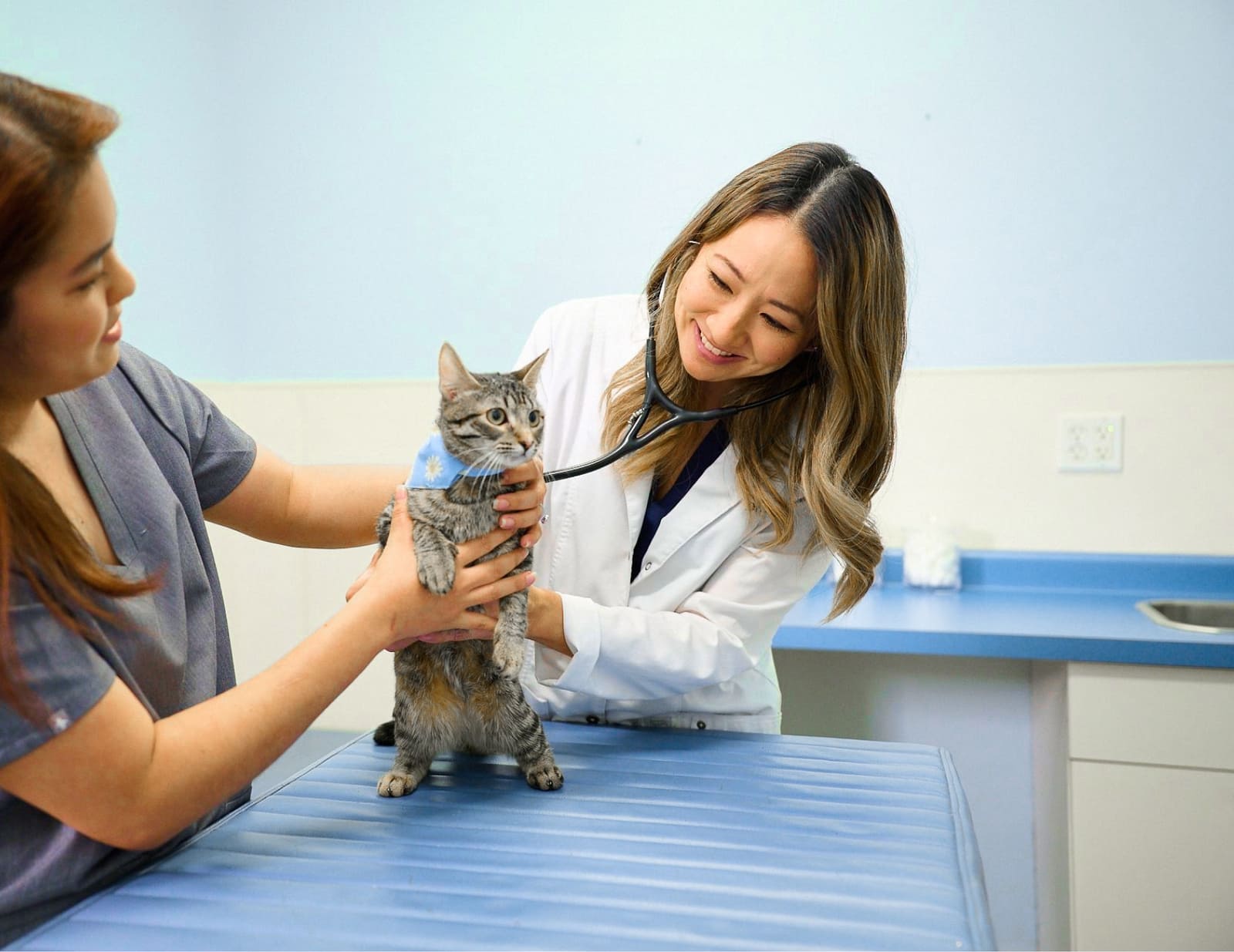 Kakaako Pet Hospital logo