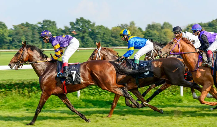 Thouroughbred horses race on track with jockeys.