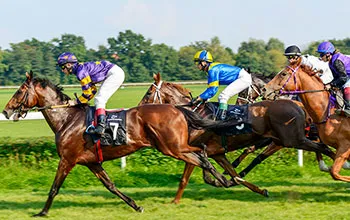 Thouroughbred horses race on track with jockeys.