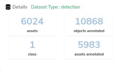 datasets details.png