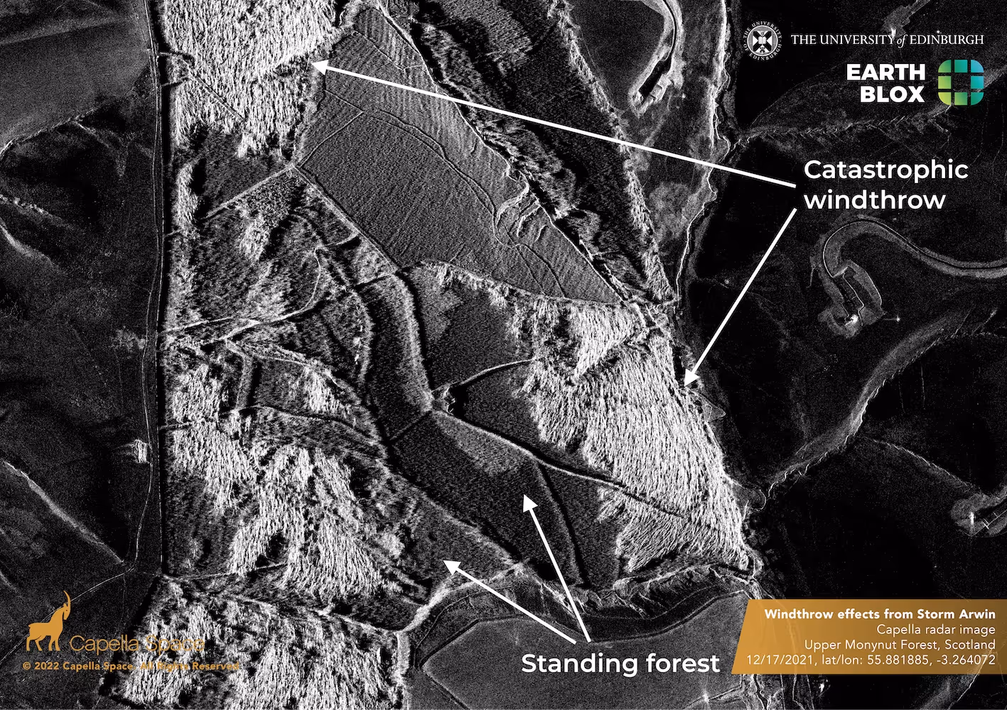 Working with Capella Space to Investigate Forest Windthrow Damage from Storm Arwen
