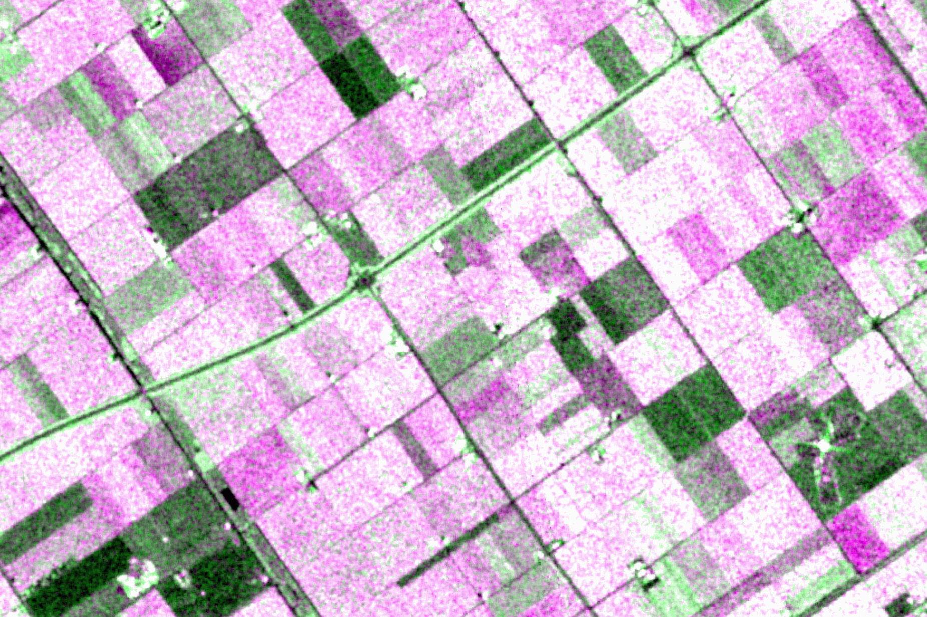 Earth Blox dataset review: Sentinel-1