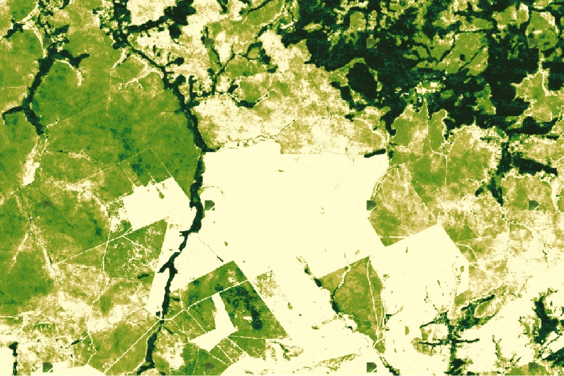 Earth Blox dataset review: Hansen Global Forest Change