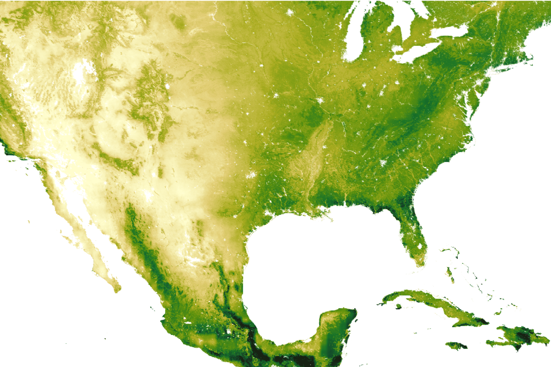 Earth Blox dataset review: MODIS Net Primary Productivity (NPP) Dataset