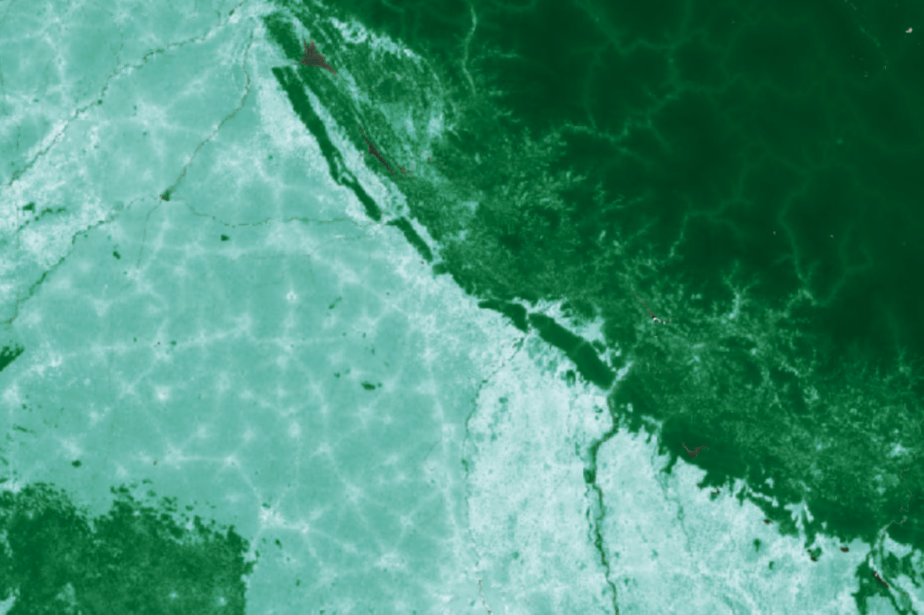 Earth Blox dataset review: The Biodiversity Intactness Index (BII)